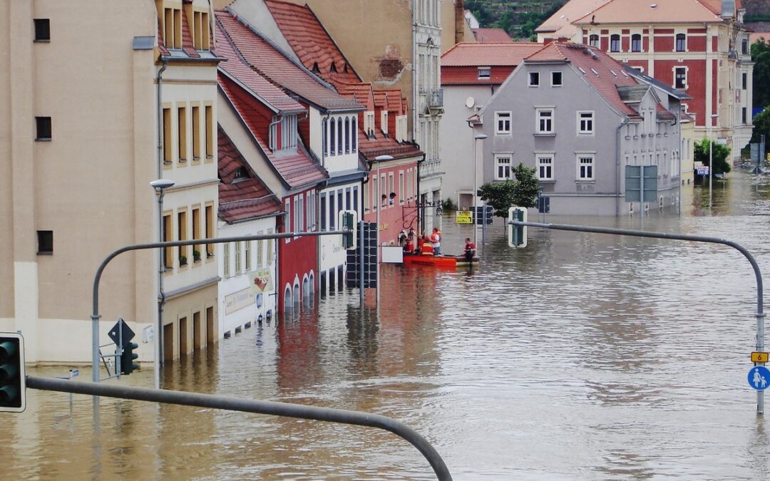 Hochwasser: Leitfäden zur Schadensbewältigung